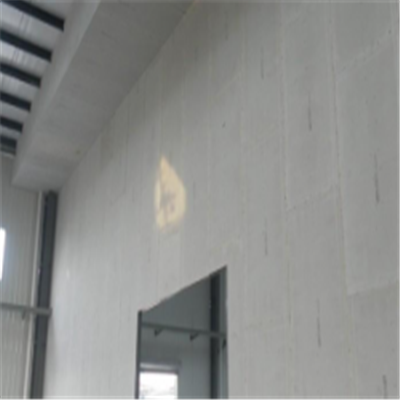 文成宁波ALC板|EPS加气板隔墙与混凝土整浇联接的实验研讨
